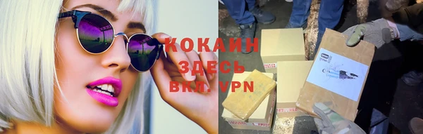 шишки Покров