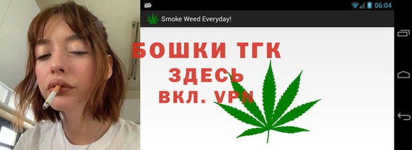 шишки Покров